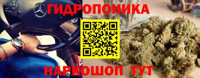 мяу мяу мука Ирбит
