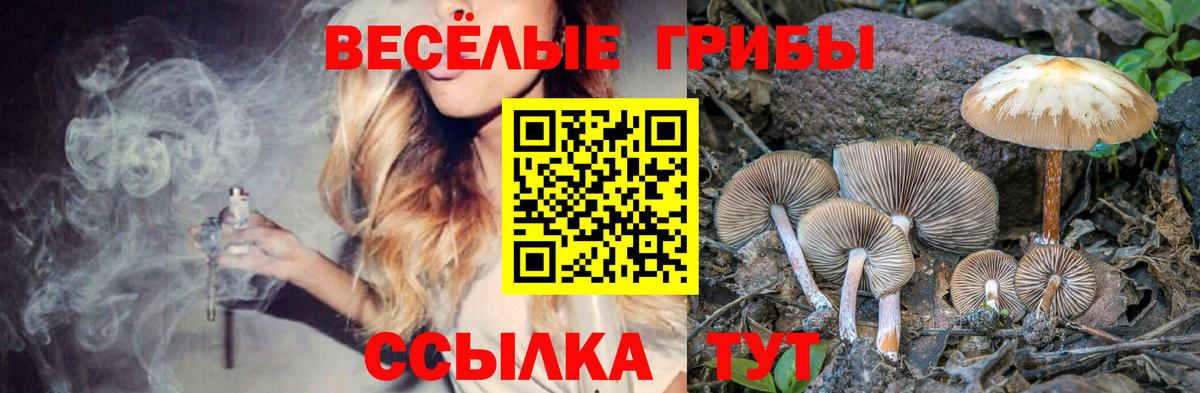 Псилоцибиновые грибы мицелий  Псилоцибиновые грибы мухоморы  Копейск  Вход с VPN 