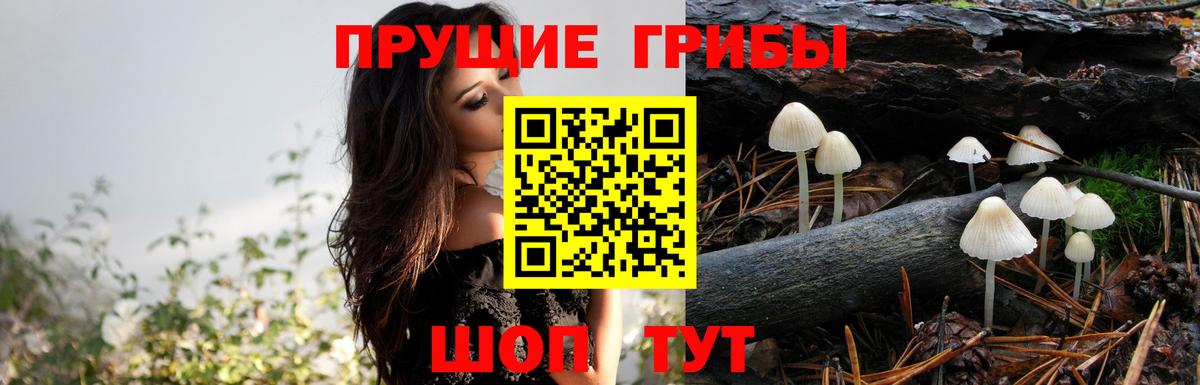 ГАШИШ Копейск